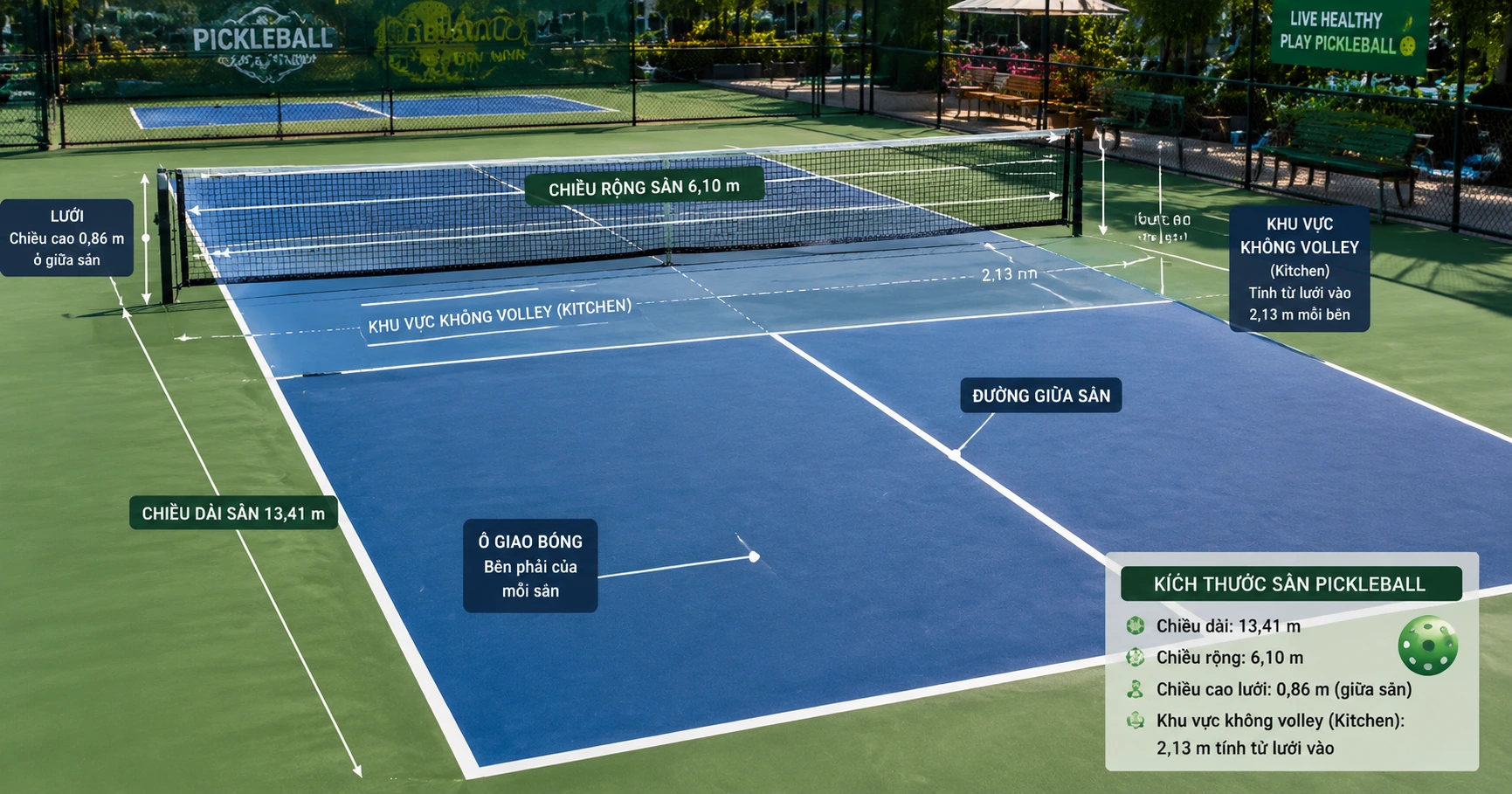 Chi Tiết Về kích thước sân pickleball và các yếu tố liên quan - image 2 Chi Tiết Về kích thước sân pickleball và các yếu tố liên quan - image 2